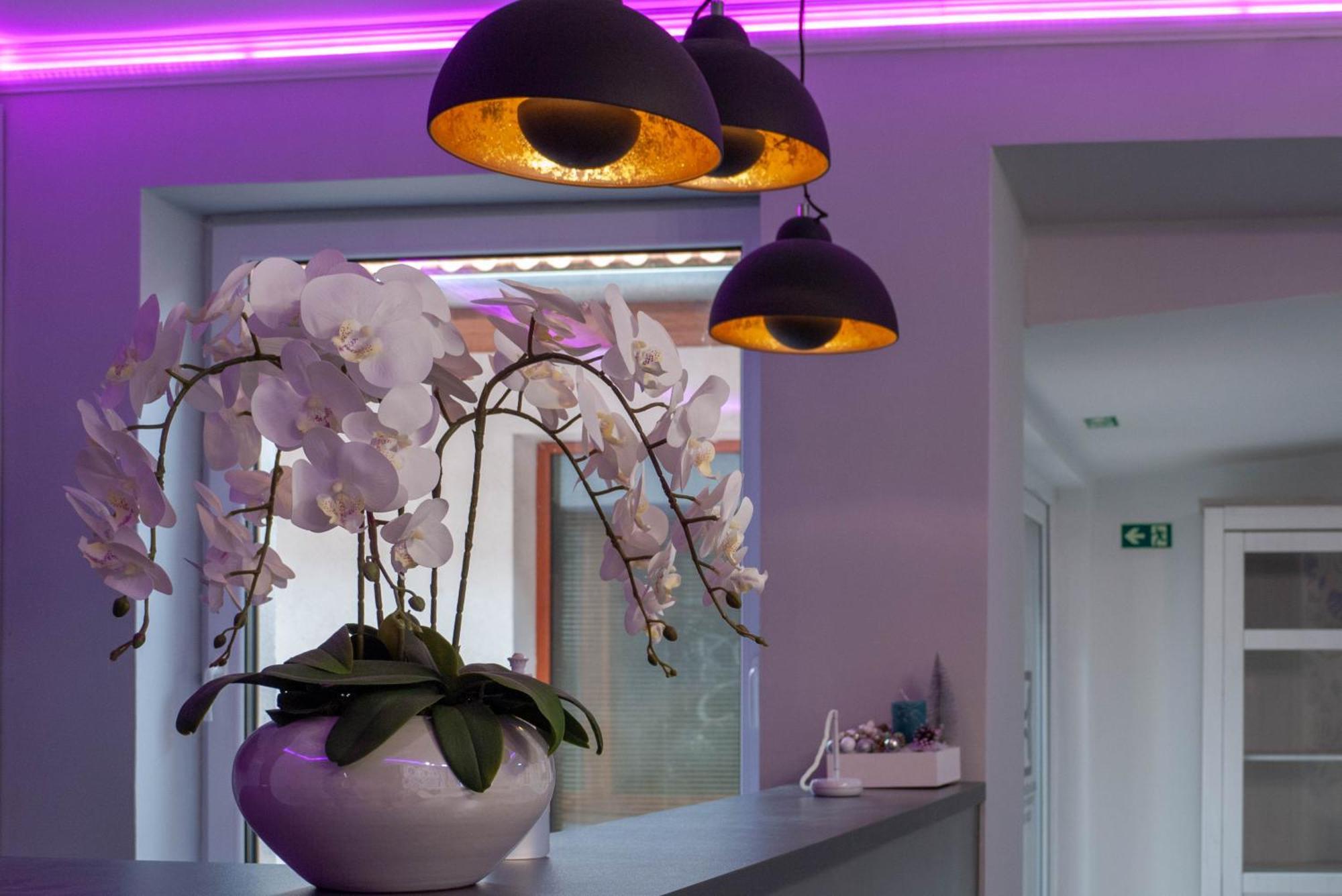Bornemisza Kuria Wellness Resort Tiszabecs Екстериор снимка